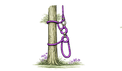 Illustration Seilklettertechnik – Icon für professionelle Baumpflege und Baumkletterei